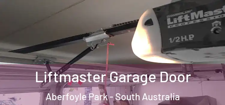 Liftmaster Garage Door Aberfoyle Park - South Australia