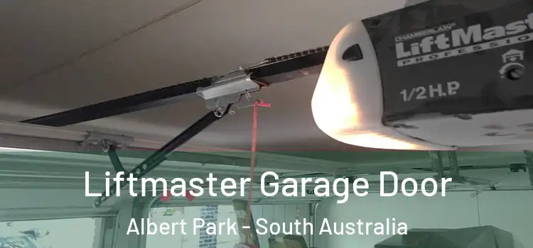 Liftmaster Garage Door Albert Park - South Australia