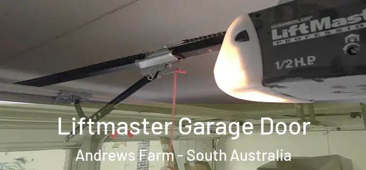 Liftmaster Garage Door Andrews Farm - South Australia