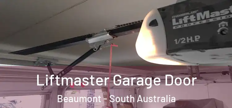Liftmaster Garage Door Beaumont - South Australia
