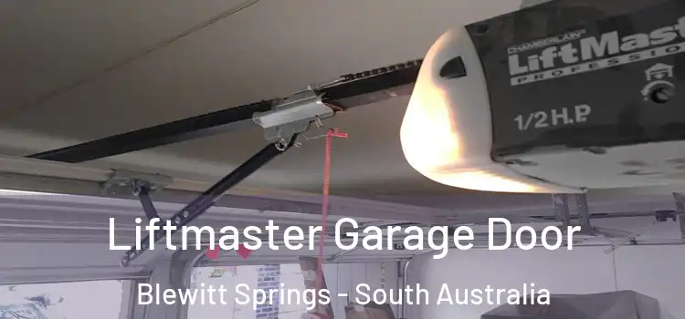 Liftmaster Garage Door Blewitt Springs - South Australia