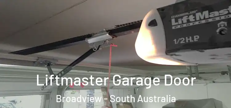 Liftmaster Garage Door Broadview - South Australia