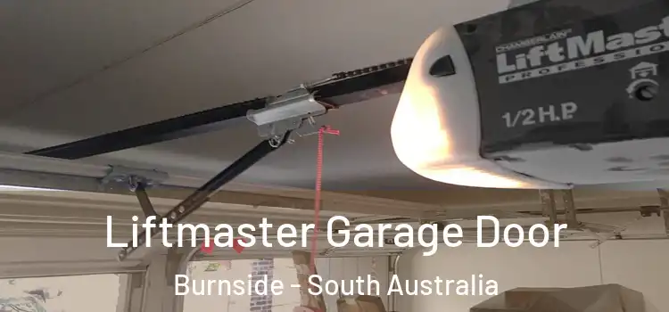 Liftmaster Garage Door Burnside - South Australia
