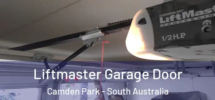 Liftmaster Garage Door Camden Park - South Australia