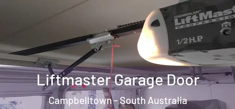 Liftmaster Garage Door Campbelltown - South Australia