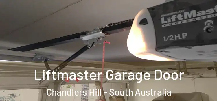 Liftmaster Garage Door Chandlers Hill - South Australia