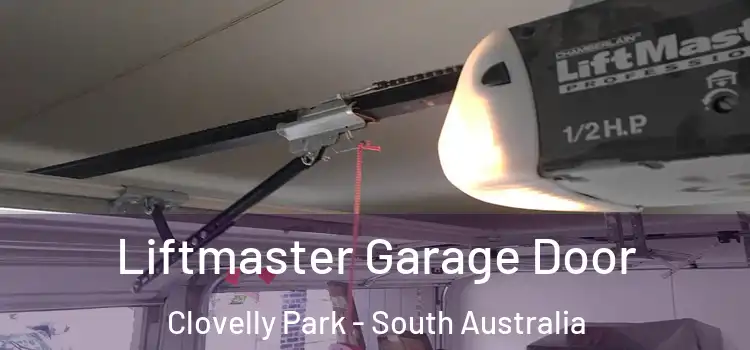 Liftmaster Garage Door Clovelly Park - South Australia