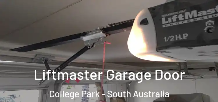 Liftmaster Garage Door College Park - South Australia