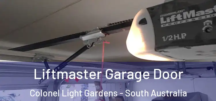 Liftmaster Garage Door Colonel Light Gardens - South Australia