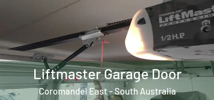 Liftmaster Garage Door Coromandel East - South Australia