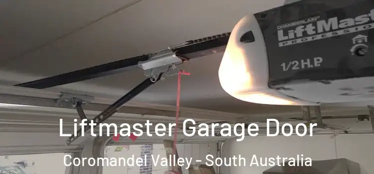 Liftmaster Garage Door Coromandel Valley - South Australia