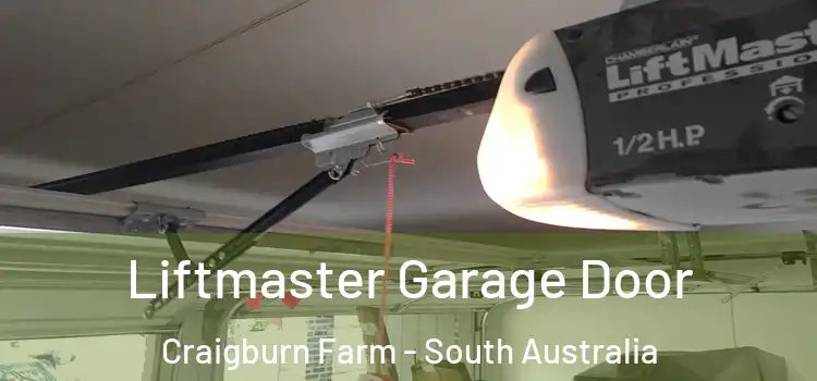 Liftmaster Garage Door Craigburn Farm - South Australia