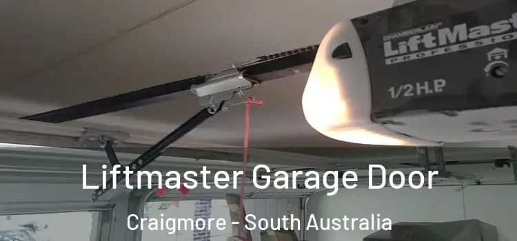 Liftmaster Garage Door Craigmore - South Australia