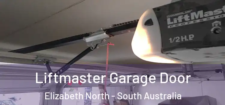 Liftmaster Garage Door Elizabeth North - South Australia