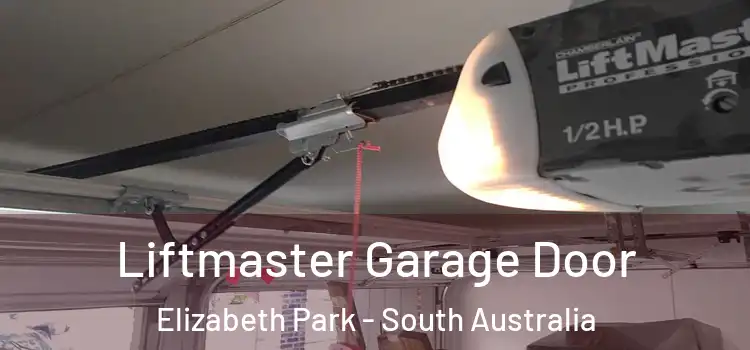 Liftmaster Garage Door Elizabeth Park - South Australia