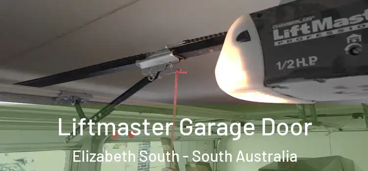Liftmaster Garage Door Elizabeth South - South Australia