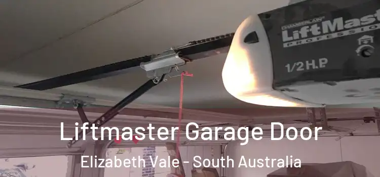 Liftmaster Garage Door Elizabeth Vale - South Australia
