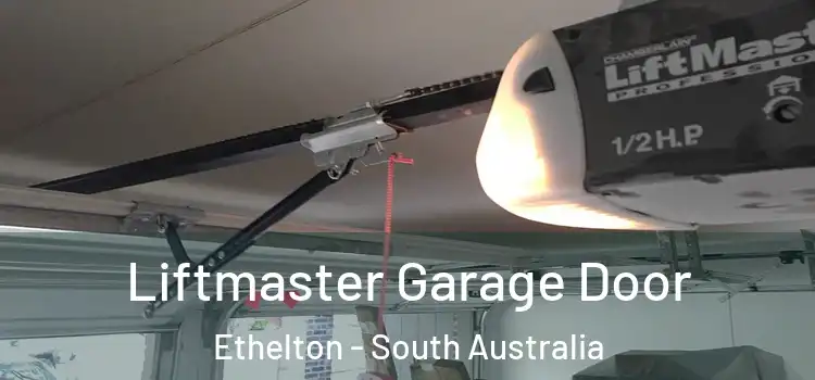 Liftmaster Garage Door Ethelton - South Australia