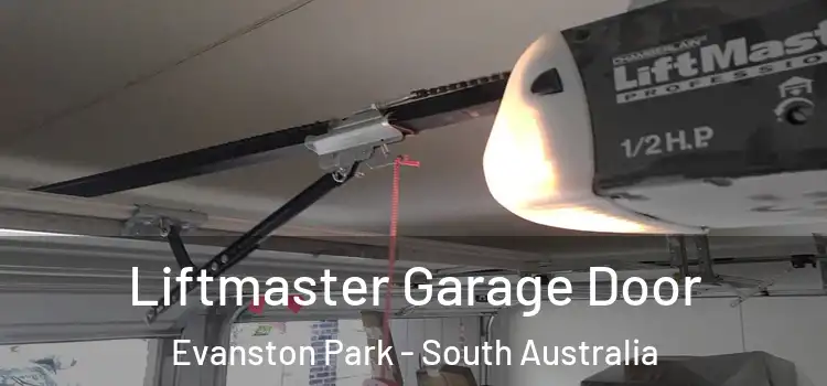 Liftmaster Garage Door Evanston Park - South Australia