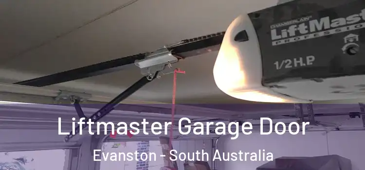 Liftmaster Garage Door Evanston - South Australia