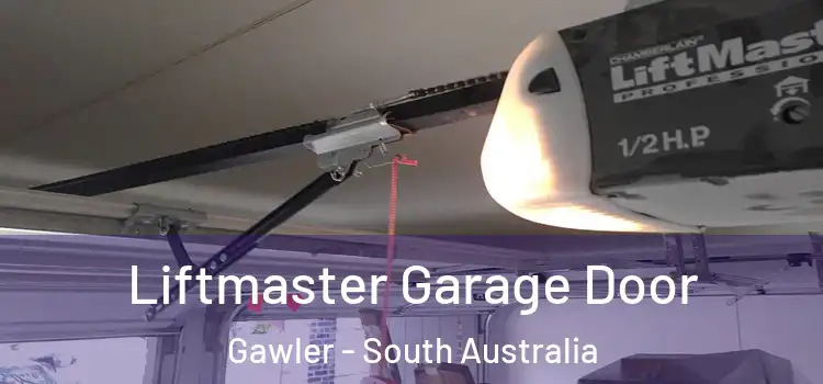 Liftmaster Garage Door Gawler - South Australia