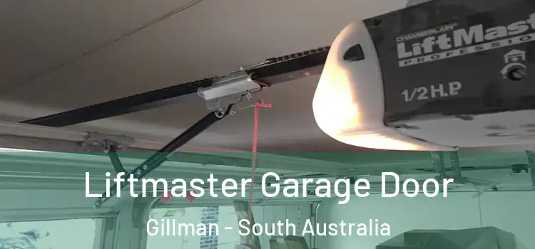Liftmaster Garage Door Gillman - South Australia