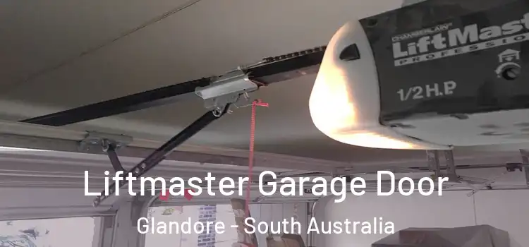 Liftmaster Garage Door Glandore - South Australia