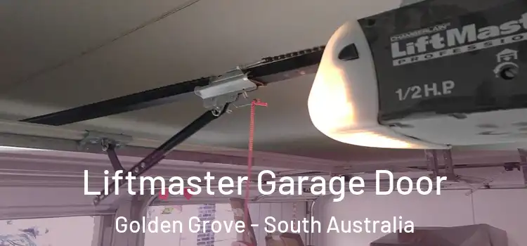 Liftmaster Garage Door Golden Grove - South Australia