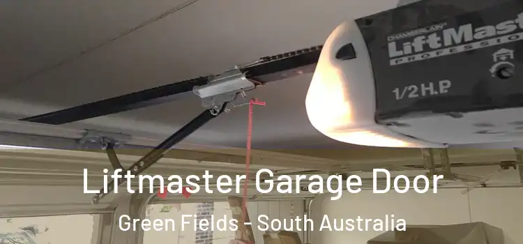 Liftmaster Garage Door Green Fields - South Australia