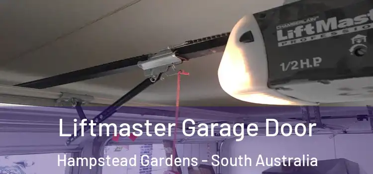 Liftmaster Garage Door Hampstead Gardens - South Australia
