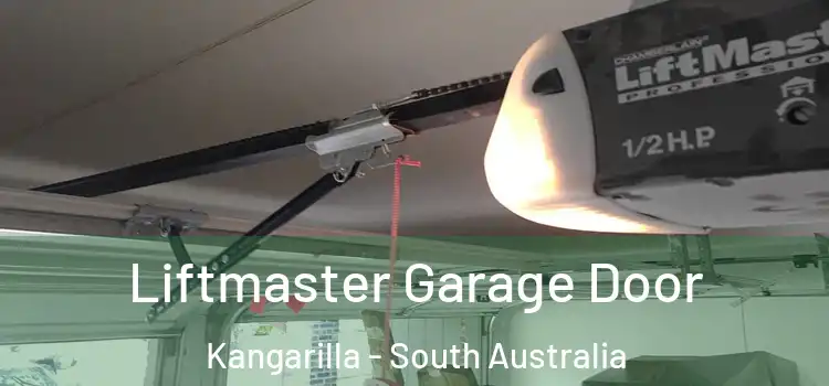 Liftmaster Garage Door Kangarilla - South Australia