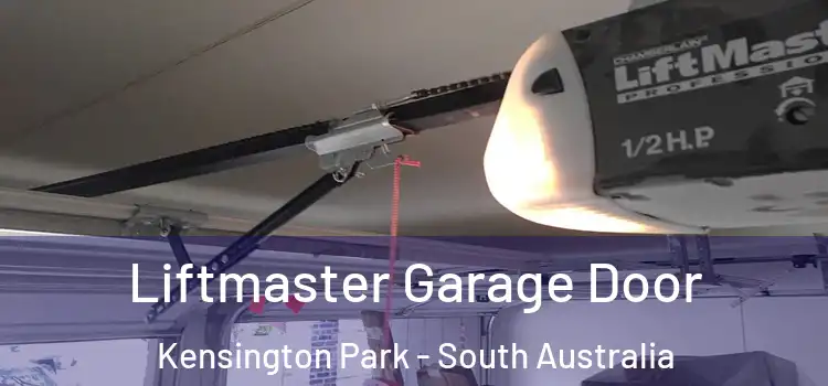 Liftmaster Garage Door Kensington Park - South Australia