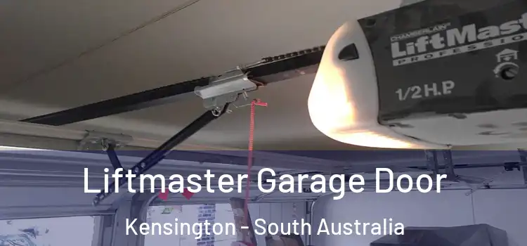 Liftmaster Garage Door Kensington - South Australia