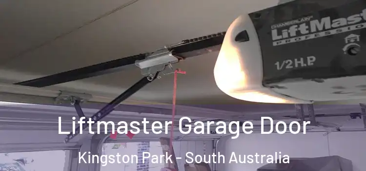 Liftmaster Garage Door Kingston Park - South Australia