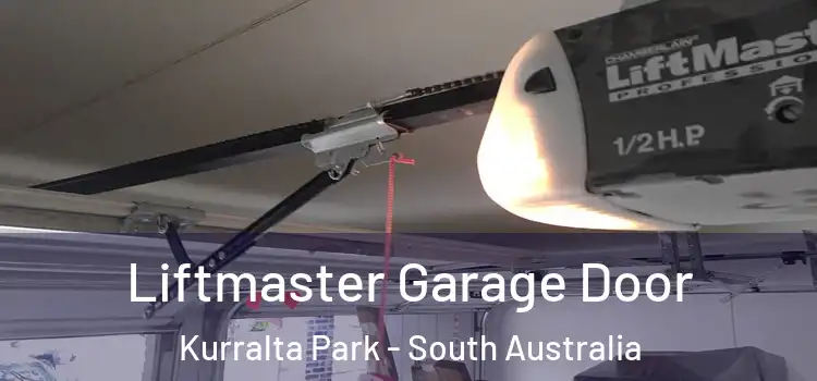Liftmaster Garage Door Kurralta Park - South Australia