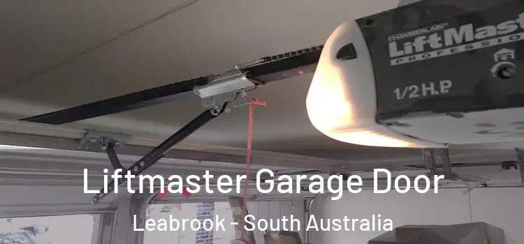 Liftmaster Garage Door Leabrook - South Australia