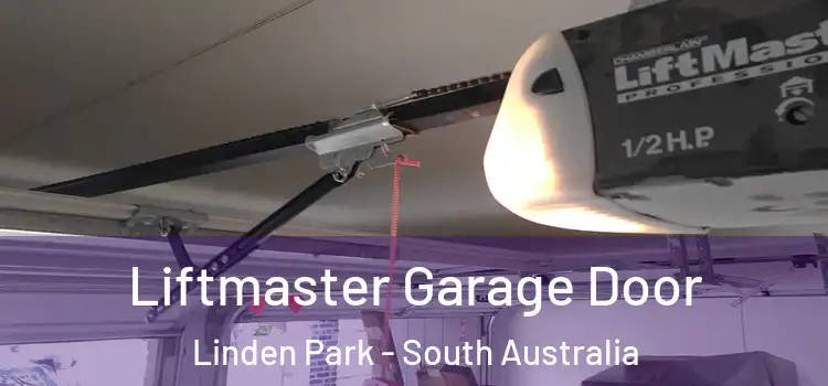 Liftmaster Garage Door Linden Park - South Australia