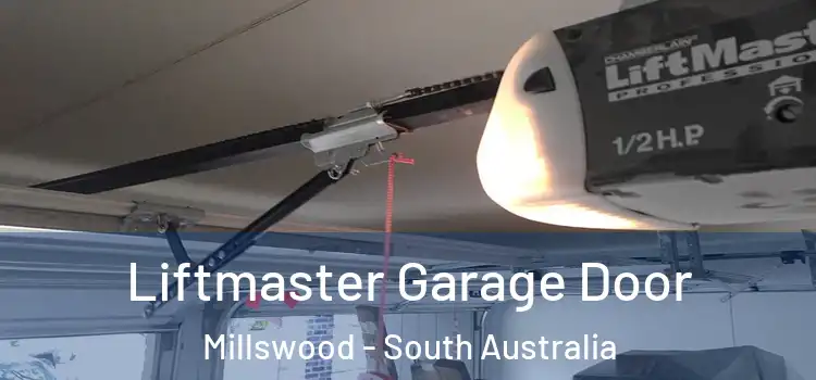 Liftmaster Garage Door Millswood - South Australia