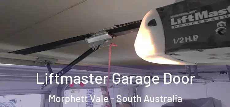 Liftmaster Garage Door Morphett Vale - South Australia