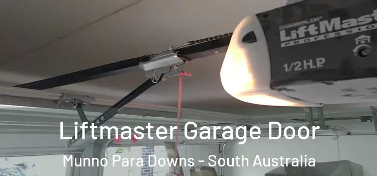 Liftmaster Garage Door Munno Para Downs - South Australia