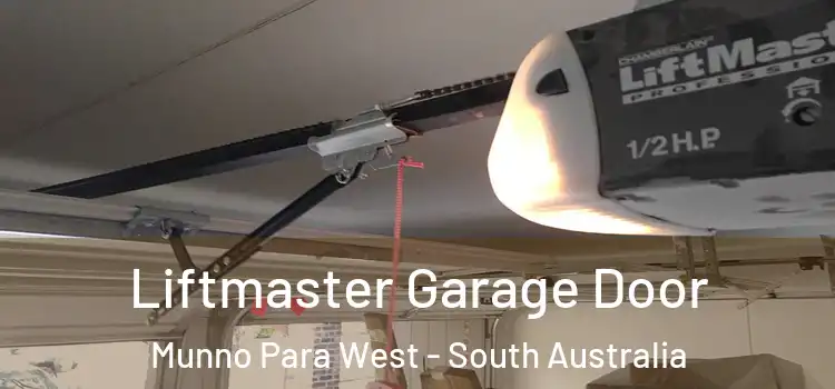 Liftmaster Garage Door Munno Para West - South Australia