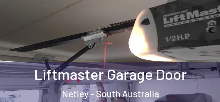 Liftmaster Garage Door Netley - South Australia