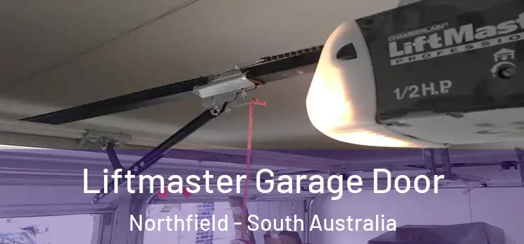 Liftmaster Garage Door Northfield - South Australia