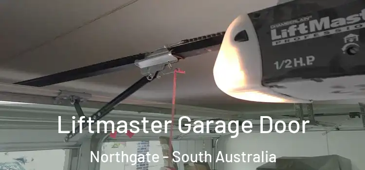 Liftmaster Garage Door Northgate - South Australia