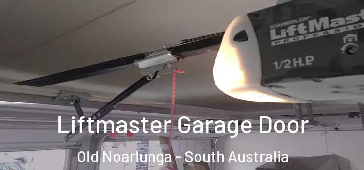 Liftmaster Garage Door Old Noarlunga - South Australia