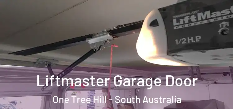 Liftmaster Garage Door One Tree Hill - South Australia