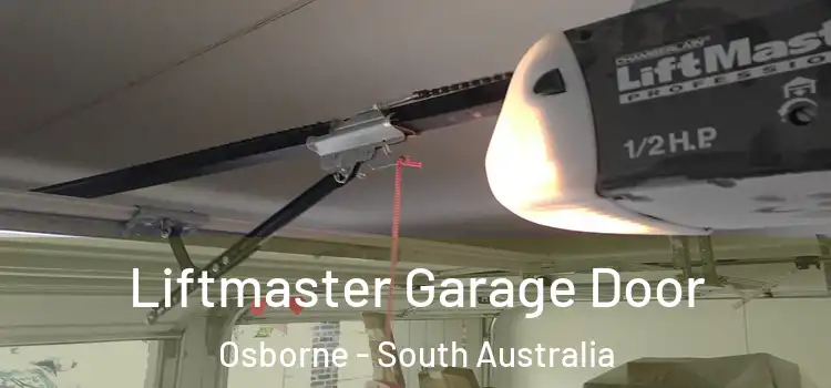 Liftmaster Garage Door Osborne - South Australia