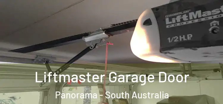 Liftmaster Garage Door Panorama - South Australia