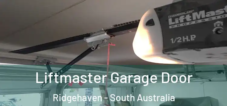 Liftmaster Garage Door Ridgehaven - South Australia