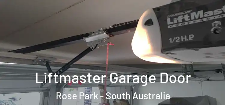 Liftmaster Garage Door Rose Park - South Australia